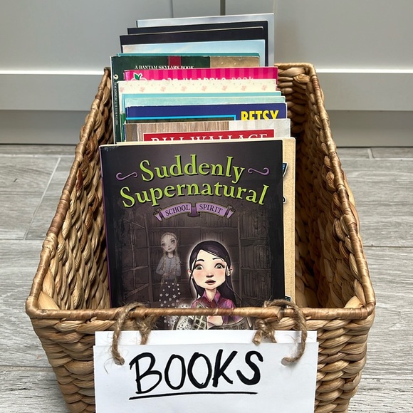 Other - 15 Chapter Books